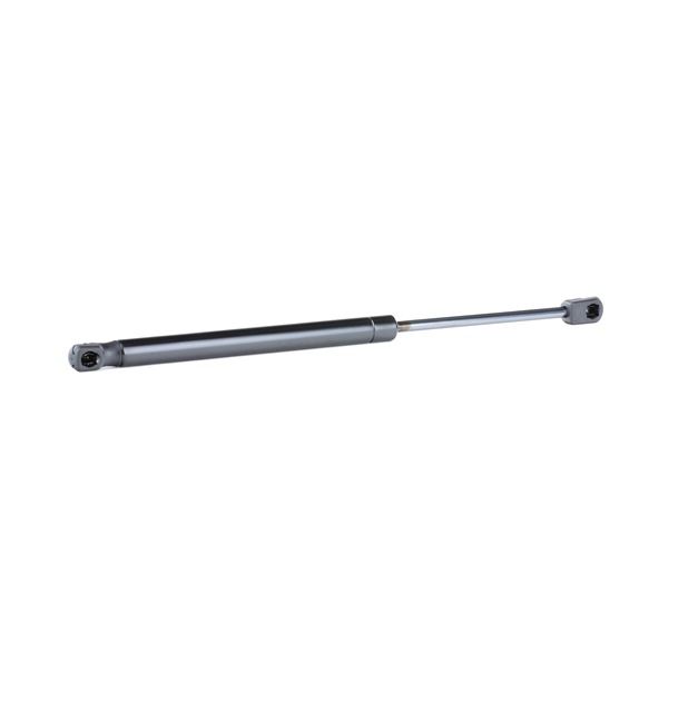 219G0718 RIDEX Gas spring boot for MINI CLUBMAN