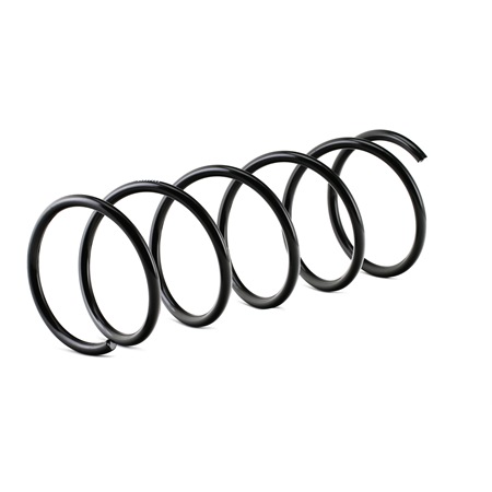 188C0415 RIDEX Federn MAZDA 3