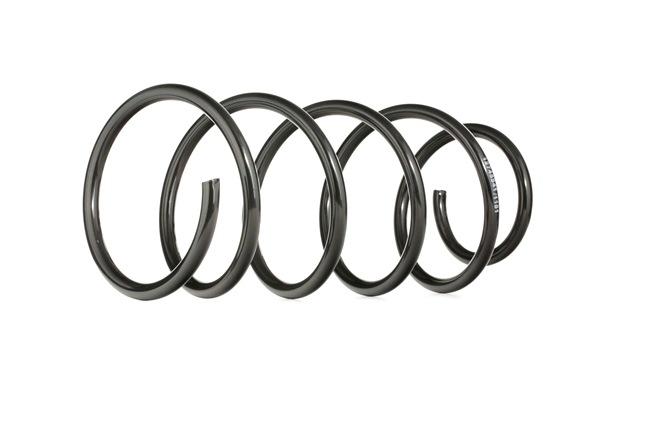 RIDEX 188C0506 Veer NISSAN Almera II Hatchback (N16) 1.5 Benzine 98 Pk 2005 kosten