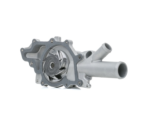 A6132000901 OE STARK Pompe à eau SKWP-0520278
