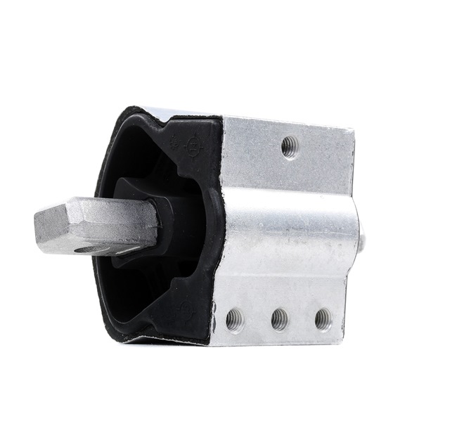Variklio montavimas RIDEX 247E0206 tinka MERCEDES-BENZ pigu