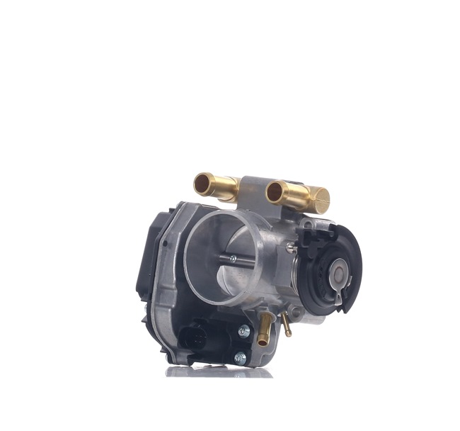 RIDEX 158T0190 Gasklep AUDI A4 B5 Avant (8D5) 1.6 Benzine 100 Pk 2000 kosten