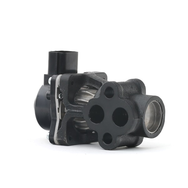RIDEX 1145E0133 Vanne EGR SUZUKI Wagon R+ 3/5 portes (MM) 1.3 4WD (RB 413) Essence 76 CV 2025 prix