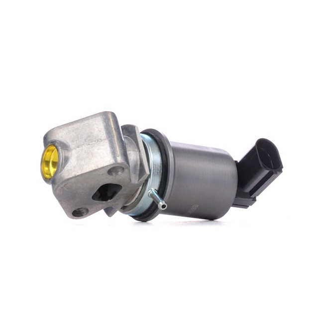 1145E0180 RIDEX Válvula EGR AUDI A3