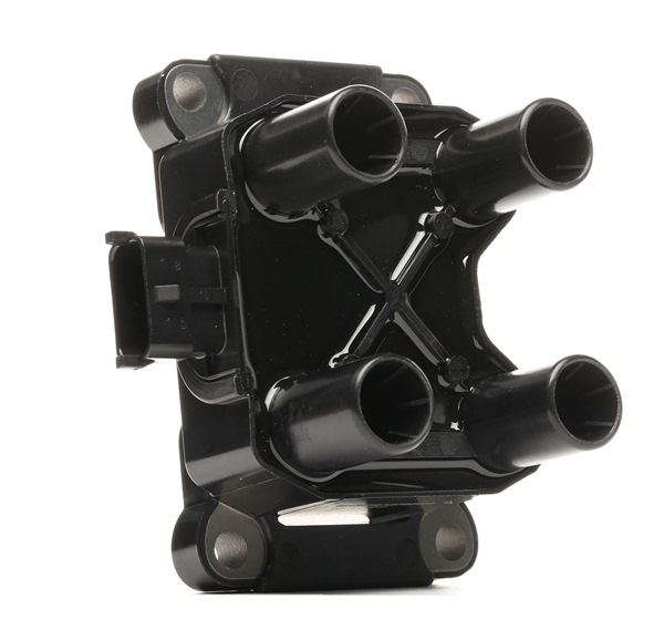 RIDEX 689C0313 Ignition coil LADA KALINA Hatchback (1119) 1.6 Petrol 90 hp 2013 price