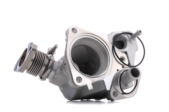 alkuperäiset Citroën C5 STARK Egr venttiili SKEGR-0770210