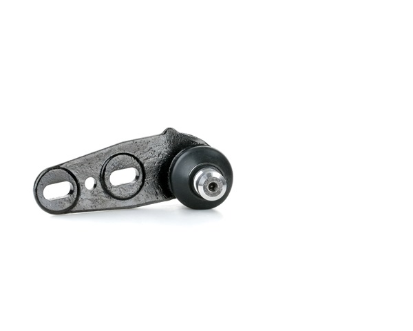 2462S0282 RIDEX 893407365F Traggelenk