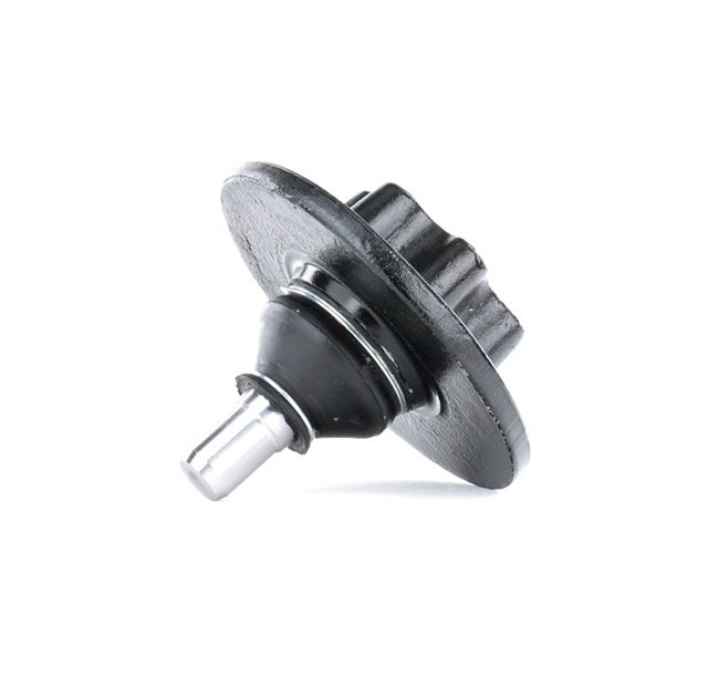 RIDEX 2462S0295 Ball joint RENAULT MASTER III Box (FV) 2.3 dCi 145 FWD (FV0E, FV0F, FV0H, FV02, FV0M, FV0S,... Diesel 146 hp 2025 price