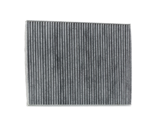 82205905 OE STARK Pollen filter SKIF-0170403