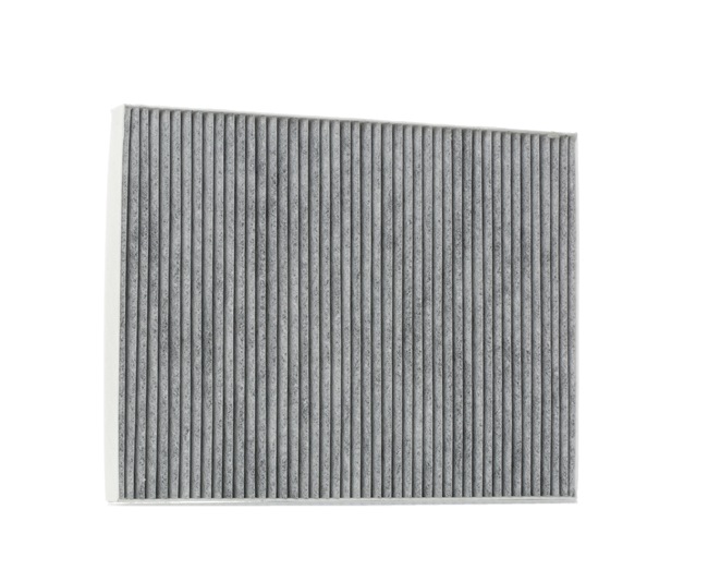 82205905 OE RIDEX Pollen filter 424I0404