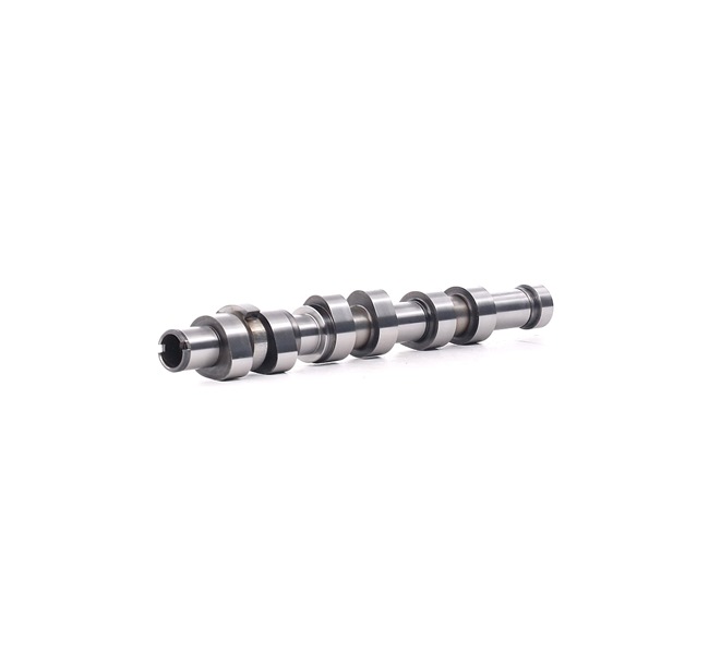 RIDEX 566C0068 Alberi a camme SEAT Ibiza 4 (6J5, 6P1) 1.2 LPG Benzina/Gasauto (GPL) 70 CV 2008 prezzo