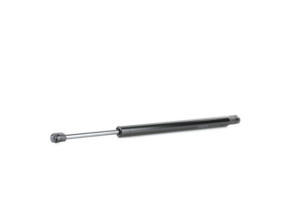 RIDEX 219G0826 Bagažinė CHRYSLER 300 C Touring (LX, LE) 3.5 AWD benzinas 249 AG 2010
