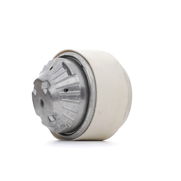 2112403017 OE RIDEX Motorophæng 247E0210