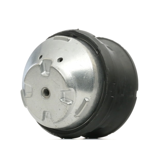 A2022403617 OE RIDEX Support moteur 247E0213