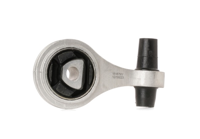 247E0219 Sospensione motore RIDEX LANCIA Y prezzo