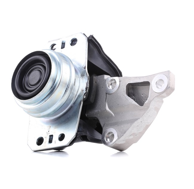 9636270080 OE STARK Variklio montavimas SKEM-0660221