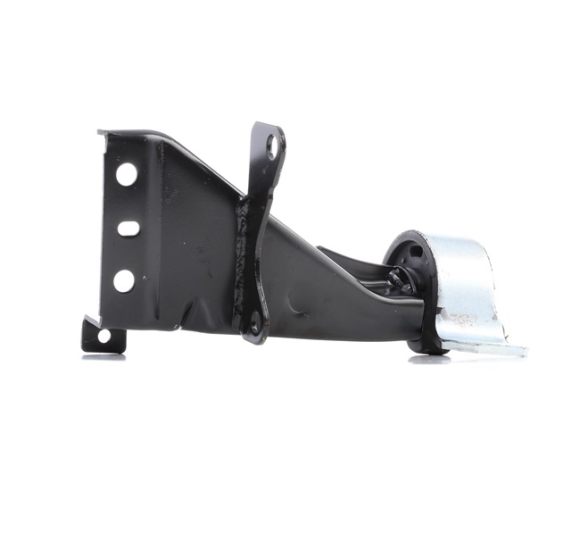 247E0251 Supporto motore RIDEX RENAULT TWINGO prezzo