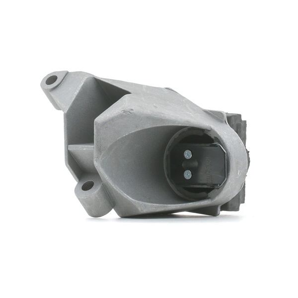 8200025319 OE STARK Vlezajenje, motor SKEM-0660302