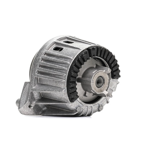 247E0321 RIDEX 2042404817 Motorlager
