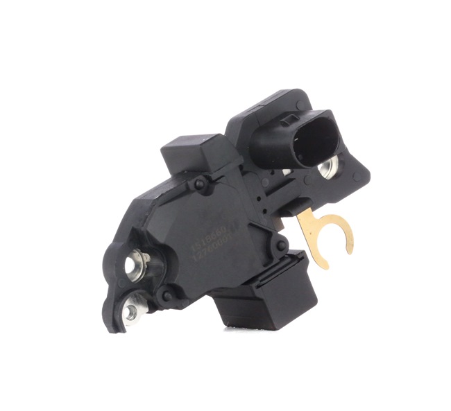 RIDEX 288R0039 Generatoriaus reguliatorius VOLKSWAGEN Passat B5 GP Universalas (3BG, 3B6) 2.0 benzinas 130 AG 2004