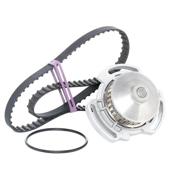 RIDEX 3096W0162 Kit de distribución con bomba de agua VOLKSWAGEN Polo Coupé (86C, 80) 1.3 Gasolina 78 cv 1994 precio