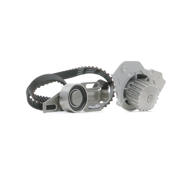 RIDEX 3096W0194 Bomba de água + kit de distribuição PEUGEOT 205 II (20A/C) 1.9 GTI Gasolina 102 cv 1989 preço