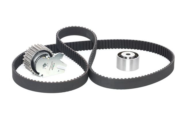STARK SKTBK-0760268 Cam belt kit Stilo Box Body / Estate (192) 1.9 JTD (192DXE1A) Diesel 116 hp 2003 price