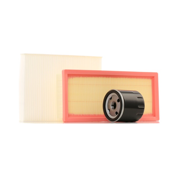 RIDEX 4055F0148 Filter kit Lancia Ypsilon 843 1.2 (843.AXA1A) Petrol 60 hp 2009 price