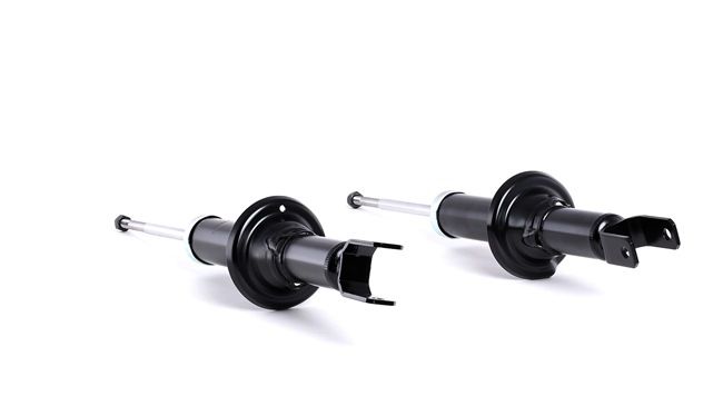 Amortisseur RIDEX 854S2106 appropriées pour RENAULT, HONDA, ROVER pas cher