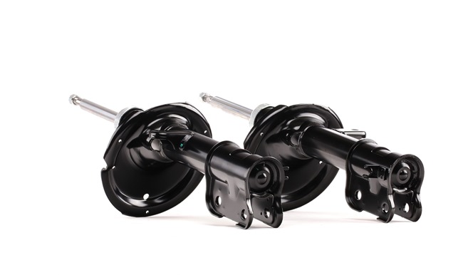 RIDEX 546502B200 Schokdemper