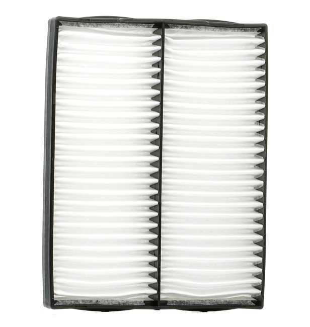 Filtro de habitáculo 9586154J00 STARK SKIF-0170421