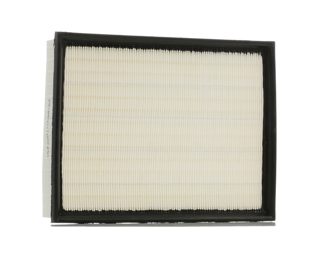 RIDEX 05189933AA Luchtfilter
