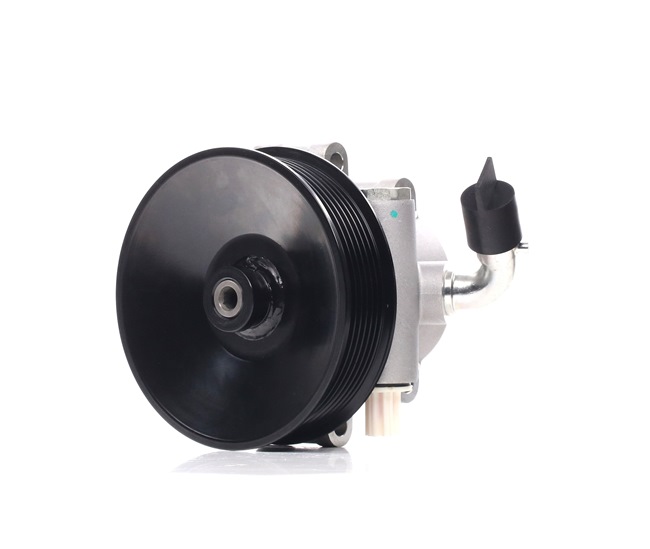 BOSCH Servopumpe K S00 910 001