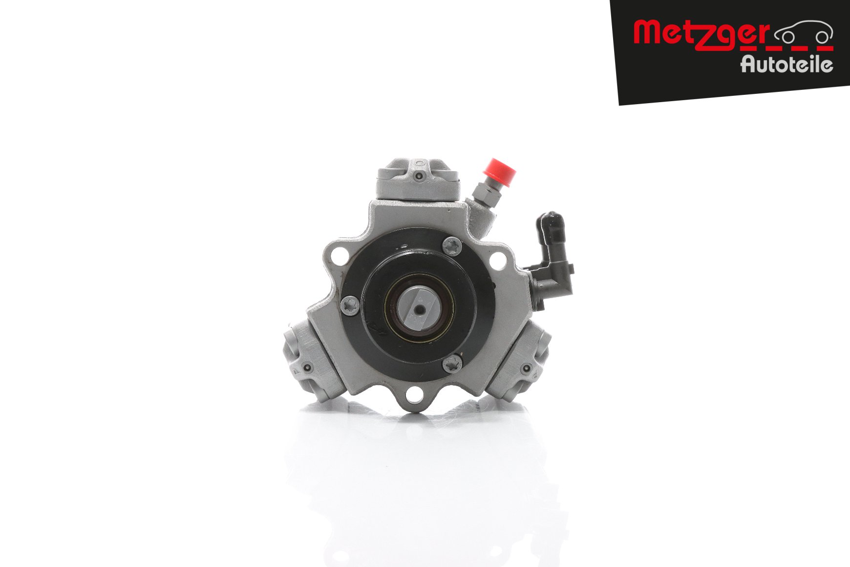 METZGER Pompe à injection 0830012