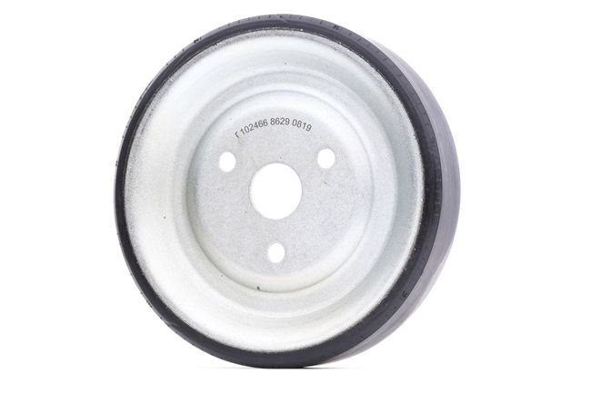 FEBI BILSTEIN Waterpomp poelie 102466