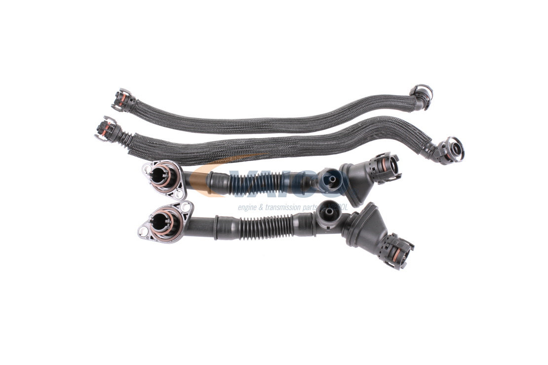 Kit de reparación, ventilación cárter 11157646087 VAICO V20-3292