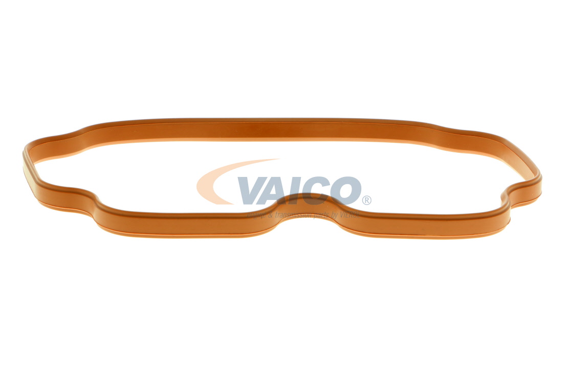 Imusarjan tiivisteet VAICO V20-9770