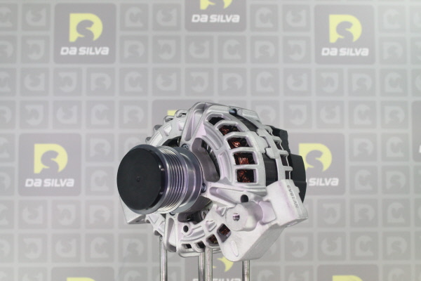 DA SILVA Laturi 011790