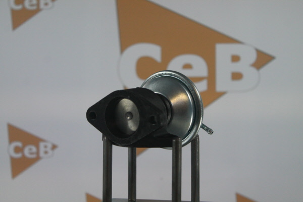 Acheter DA SILVA Vanne EGR GR6055