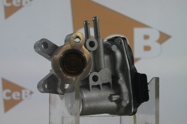 DA SILVA Válvula EGR GR6080