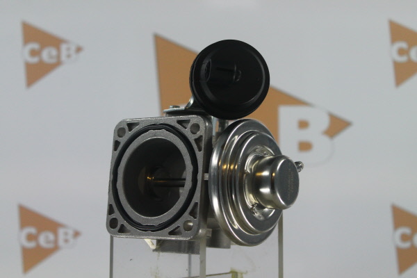 DA SILVA EGR-ventil GR6092