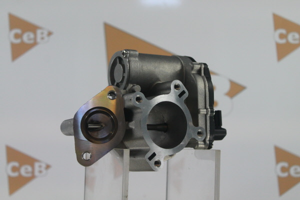 DA SILVA Válvula EGR GR6107