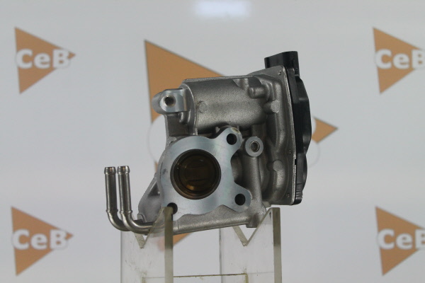 DA SILVA EGR klep GR6120