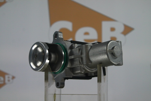 DA SILVA EGR valve GR6125