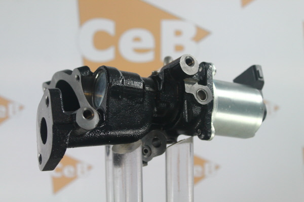 DA SILVA EGR klep GR6130