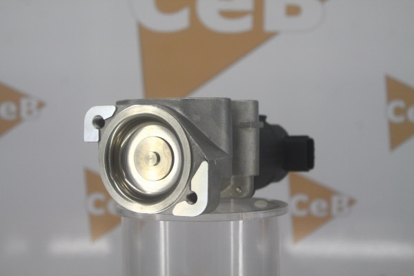 DA SILVA EGR klep GR6140