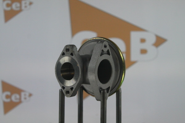 DA SILVA EGR valve GR6144