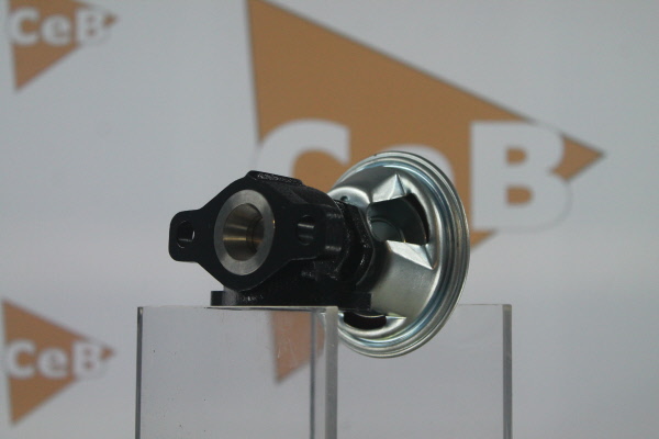 DA SILVA Válvula EGR GR6147