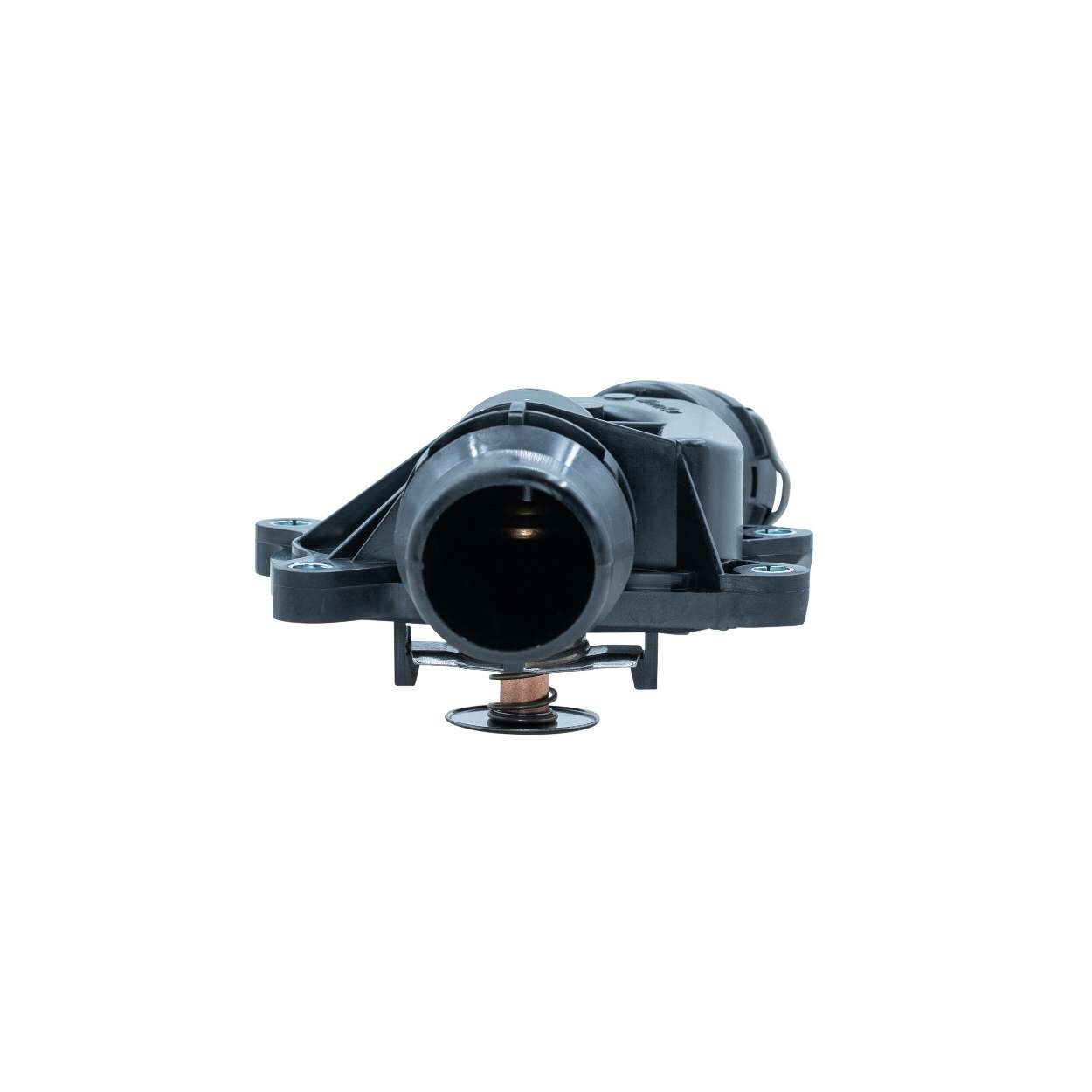 MOTORAD 571-88K Thermostat LAND ROVER Range Rover 3 (L322) 3.0 D 4x4 dyzelinas 177 AG 2010