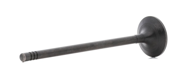 BGA V230711 ventil za izpust Ford C Max 2
